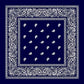 Navkar Crafts Cotton Printed Bandana - Premium Bandana from Navkar Crafts - Just $179! Shop now at Navkar Crafts
