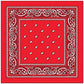Navkar Crafts Cotton Printed Bandana - Premium Bandana from Navkar Crafts - Just $179! Shop now at Navkar Crafts